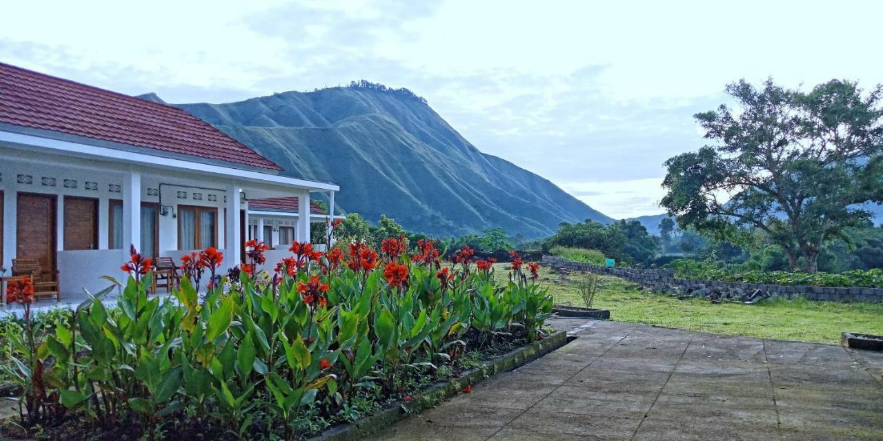 Rinjani Hill Hotel Сембалун Лаванг Экстерьер фото